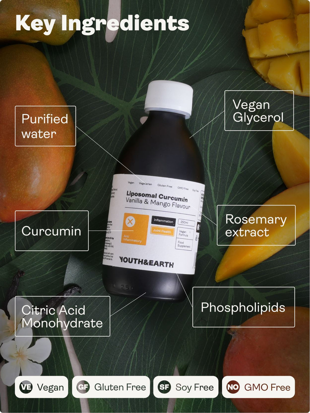 Liposomal Curcumin 200mg – Vanilla & Mango Flavour, 250ml - Youth & Earth UK Store - Liposomal Curcumin