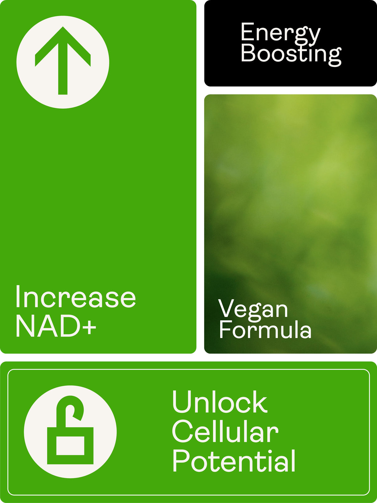 NMN Nicotinamide Mononucleotide Sublingual Powder - Youth & Earth UK Store -