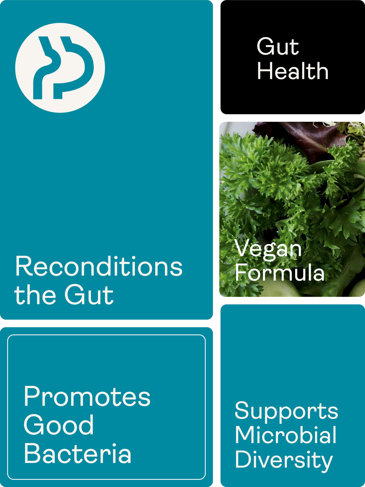 Spore Probiotic (Bacillus Subtilis HU58®, Coagulans SC208 & Clausii SC109) 4 billion CFU count - 60 Capsules - Youth & Earth UK Store -