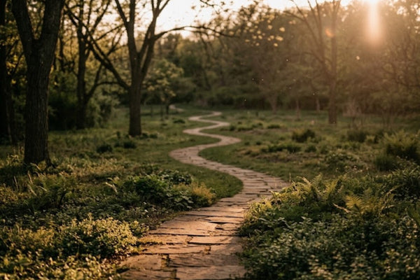 What Is Effera Human Lactoferrin? A Youth & Earth Product Deep Dive