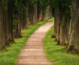 Unlocking Your Biological Clock: The 5 Pathways to Longevity