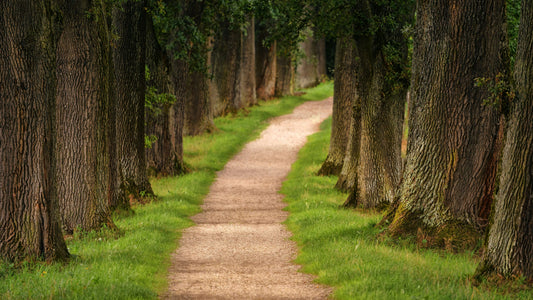 Unlocking Your Biological Clock: The 5 Pathways to Longevity