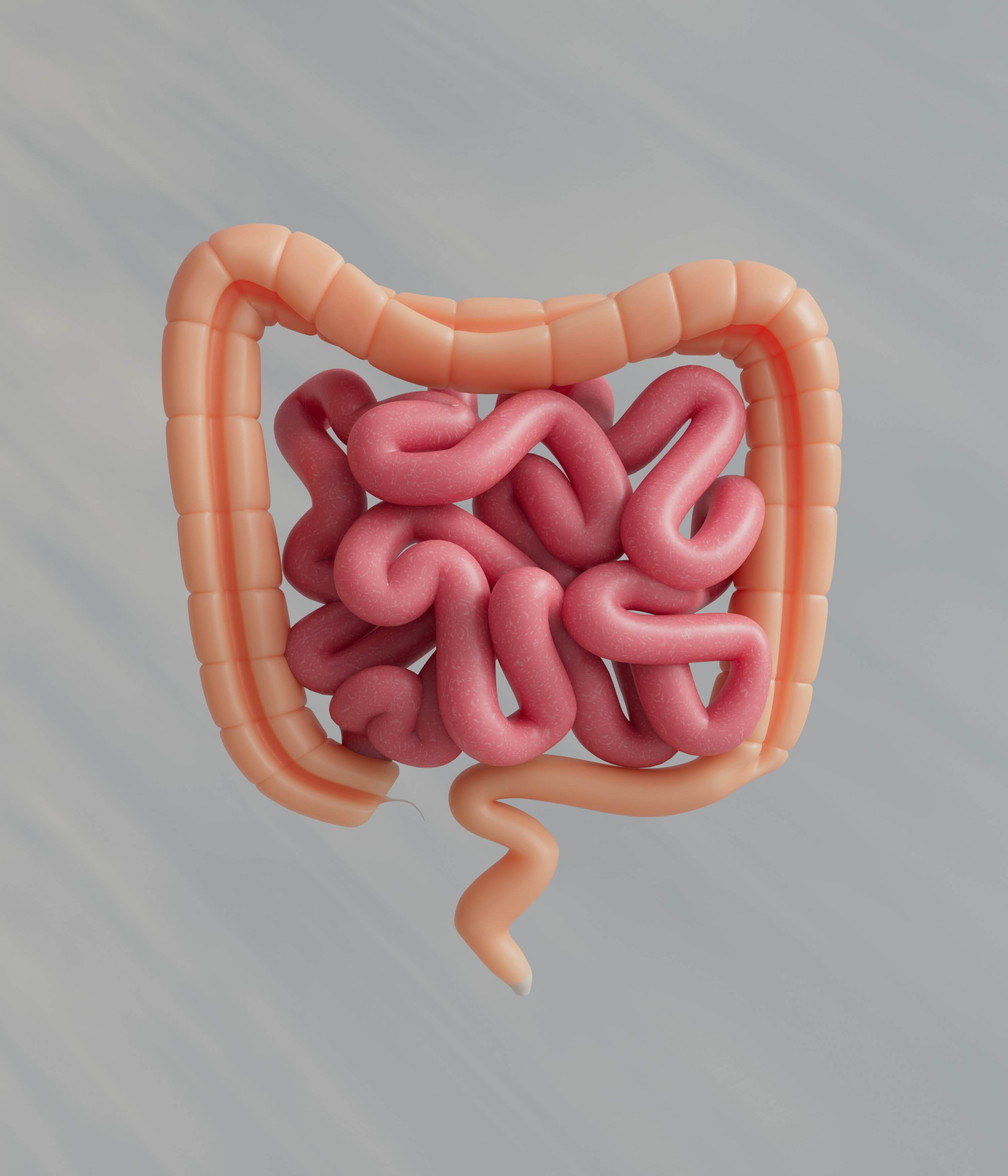 Youth & Earth’s Spore Probiotic: The Ultimate Guide to Gut Health, Immunity, and Longevity