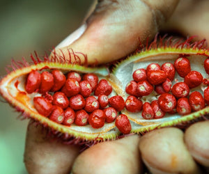 What Are Tocotrienols?