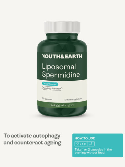 Liposomal Spermidine