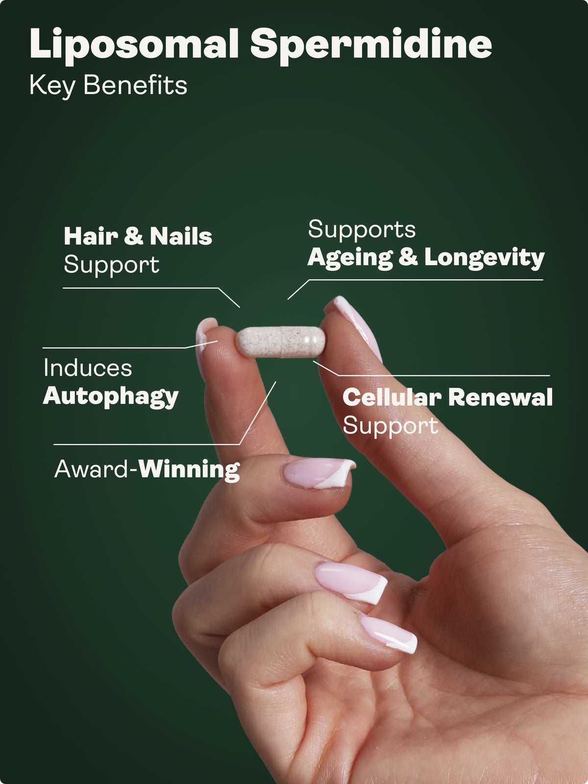 Longevity Essentials Trio (NMN & Liposomal Spermidine & Liposomal Curcumin) - Youth & Earth UK Store - 