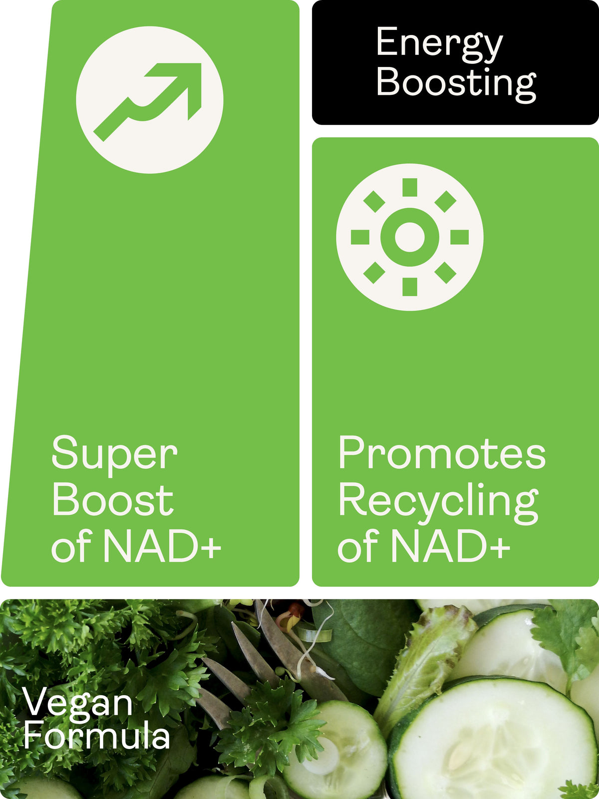 NAD Max - 460mg, 60 Capsules - youthandearth - 