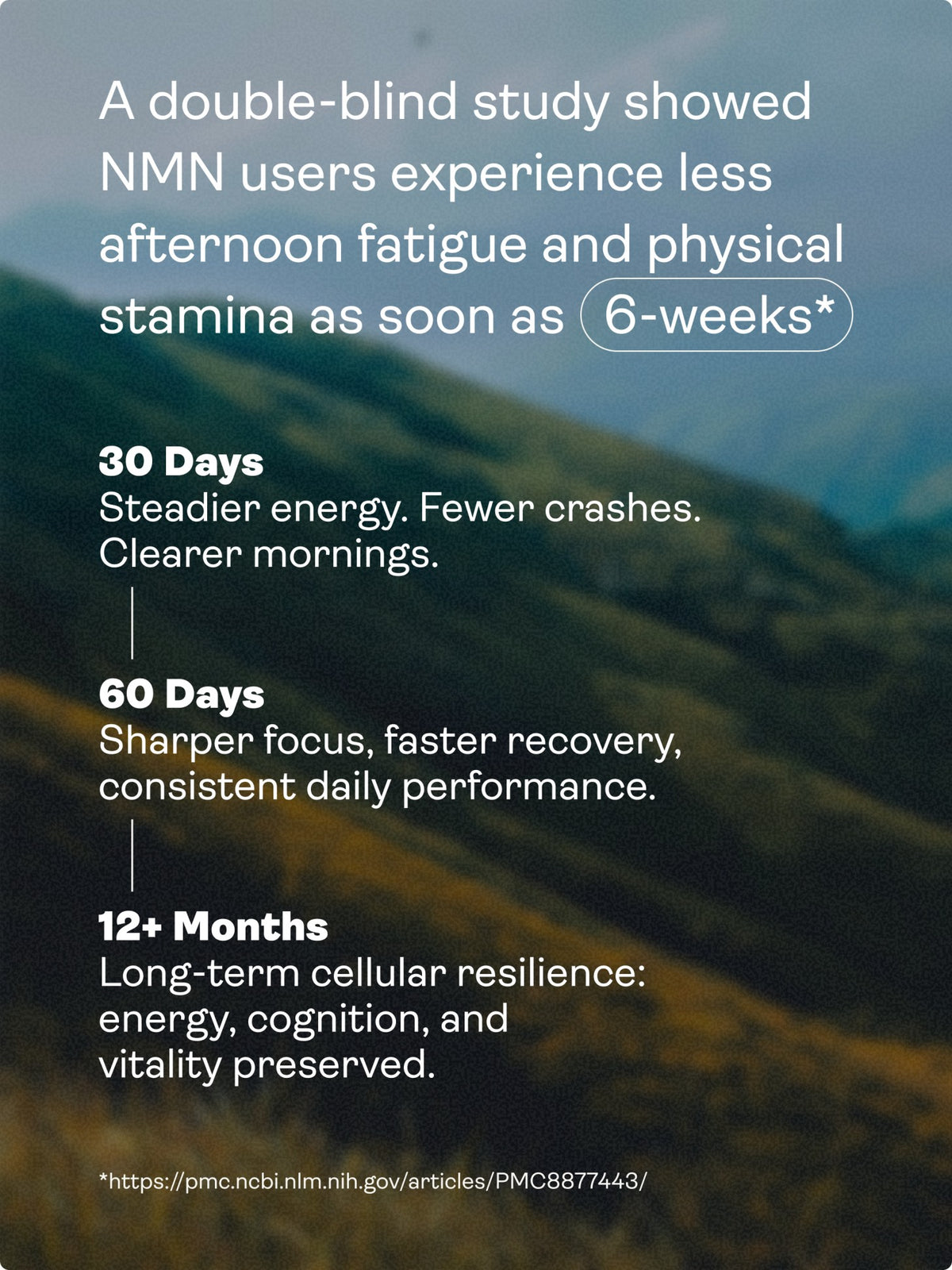 NMN Sublingual Powder - NAD+ Booster