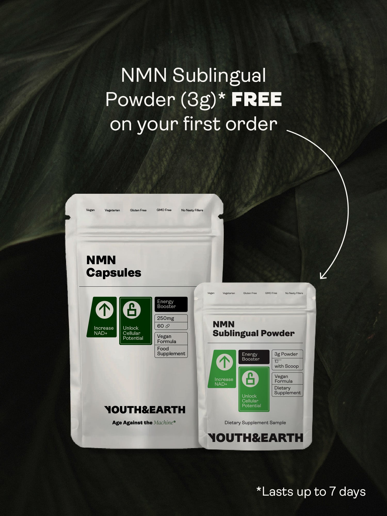 NMN Supplement - 60 Capsules - Youth & Earth UK Store - 