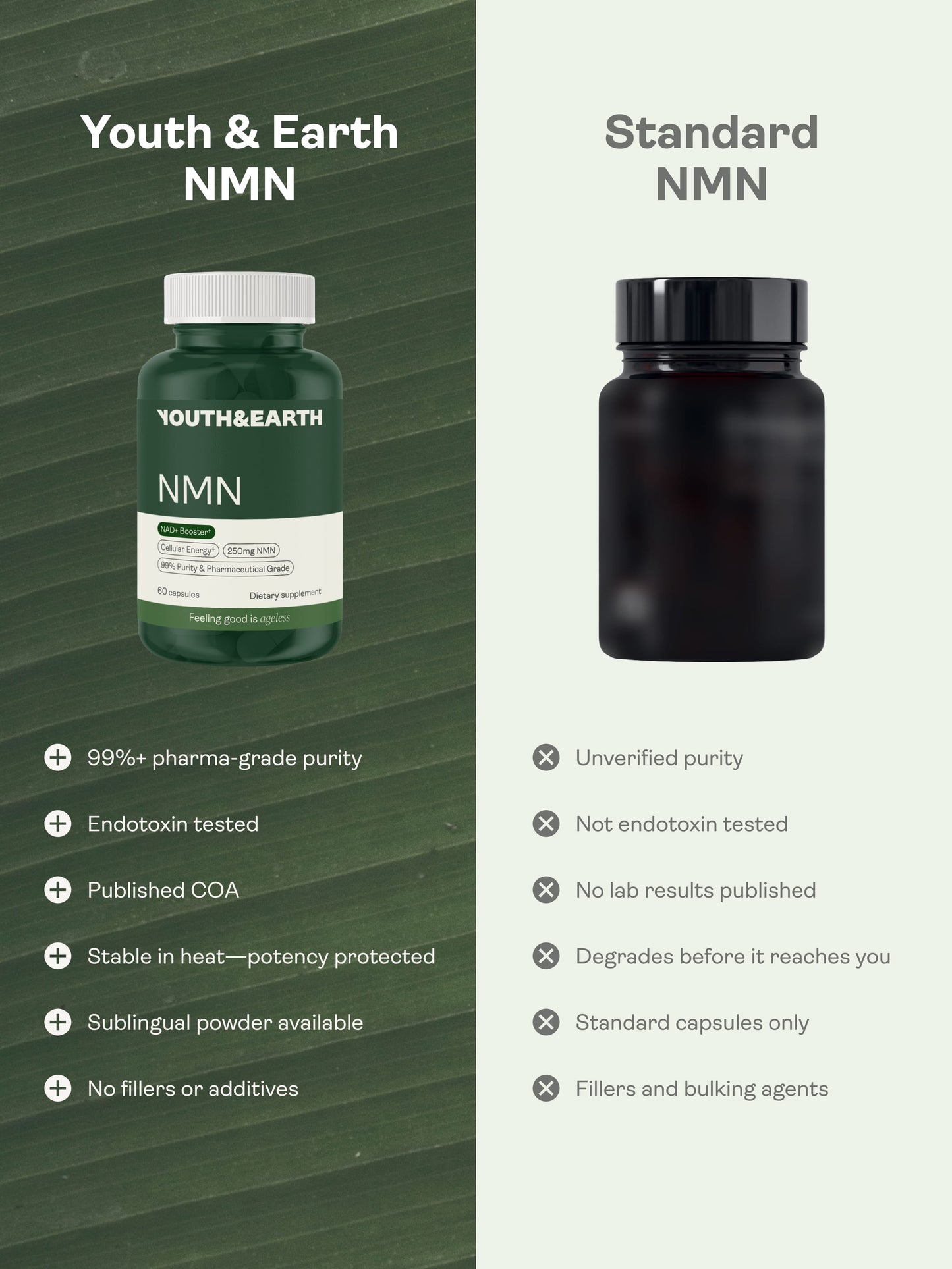 NMN Capsules - NAD+ Booster