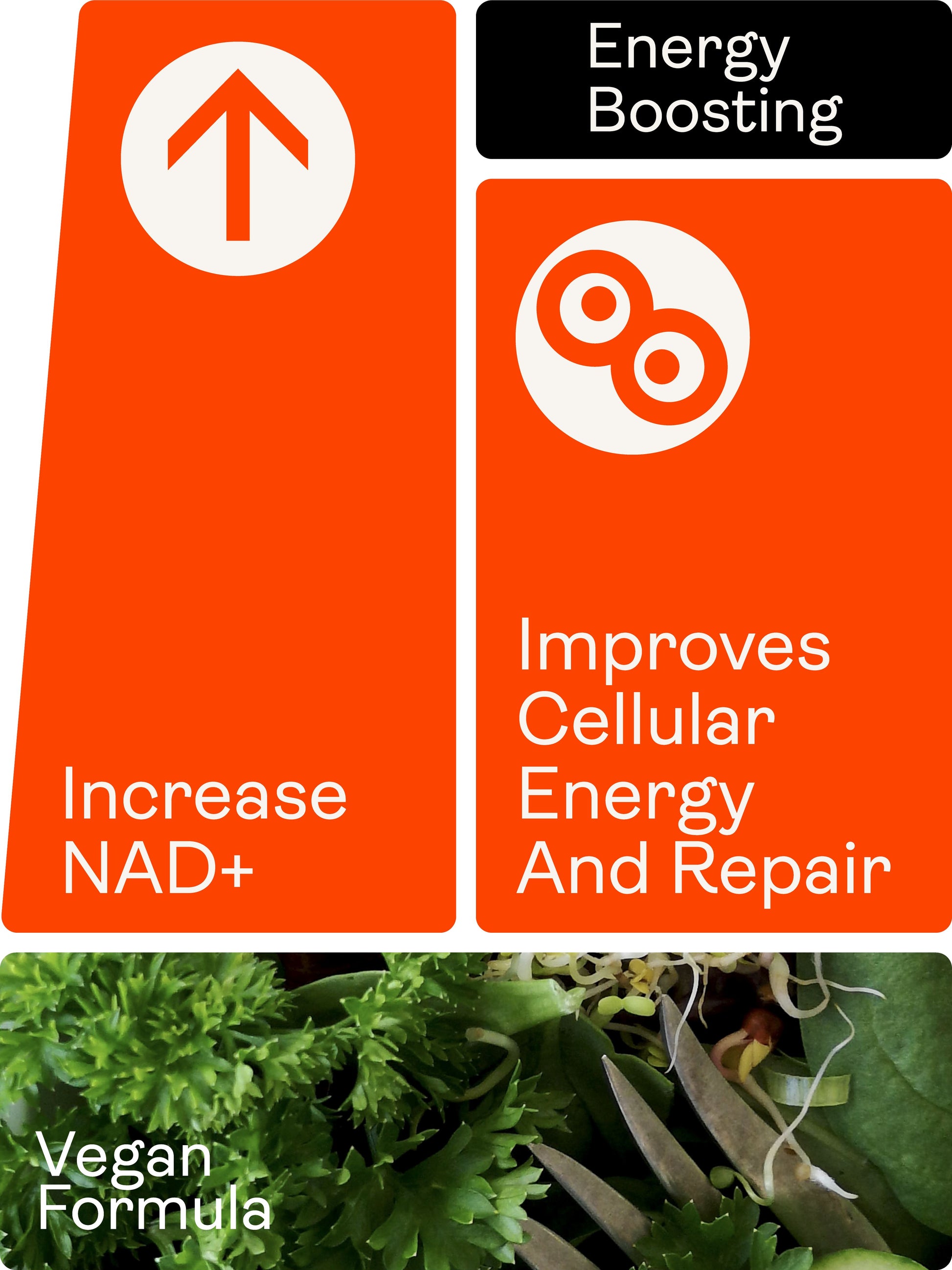 NR Capsules 60 Capsules (300mg) - Youth & Earth UK Store - 