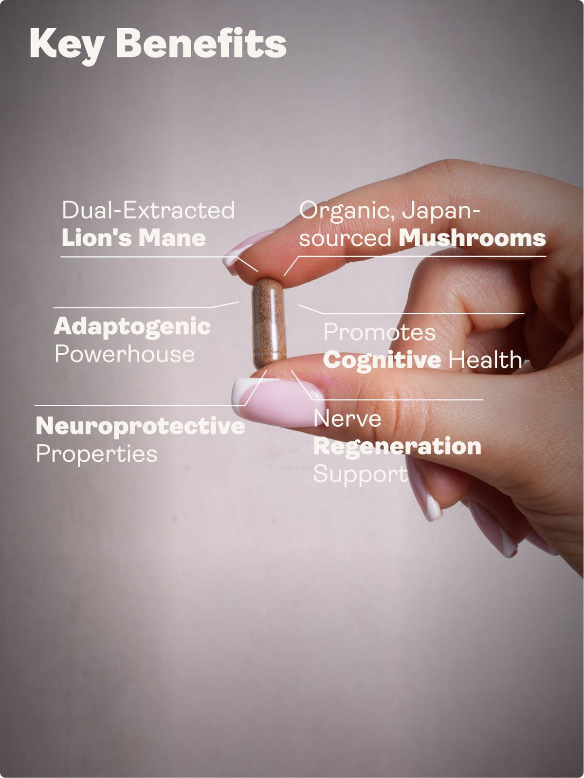 Nerve Growth Factor (Lion's Mane Erinacines, Hericenones , Rhodiola, Ginseng, Bioperine) – 500mg, 60 Capsules - Youth & Earth UK Store - 