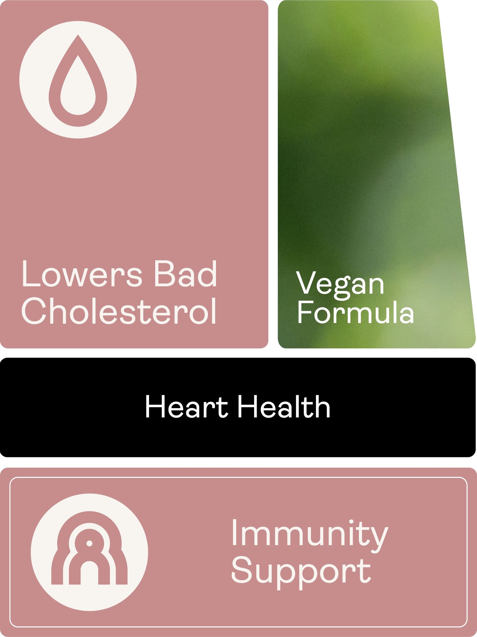 Phytosterols Supplements - 90 Capsules - Youth & Earth UK Store - 