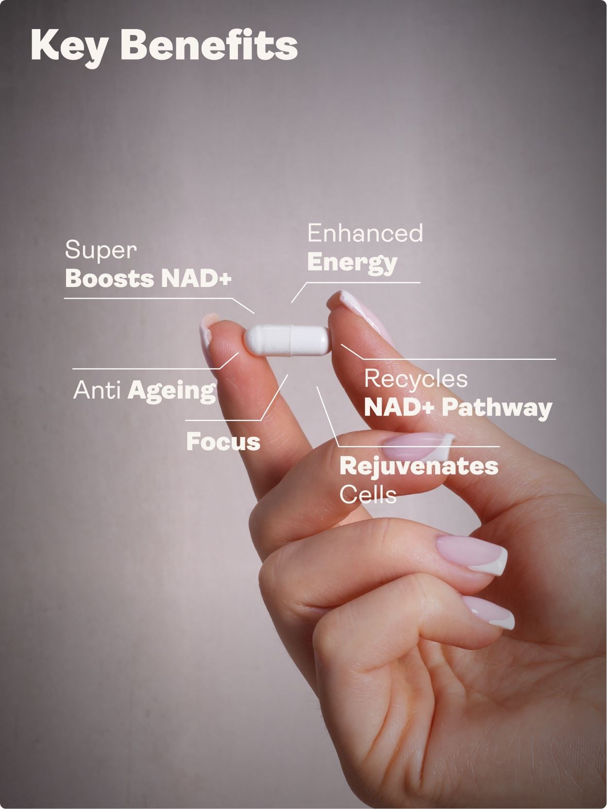 Spore Probiotic (Bacillus Subtilis HU58®, Coagulans SC208 & Clausii SC109) 4 billion CFU count - 60 Capsules - Youth & Earth UK Store - 