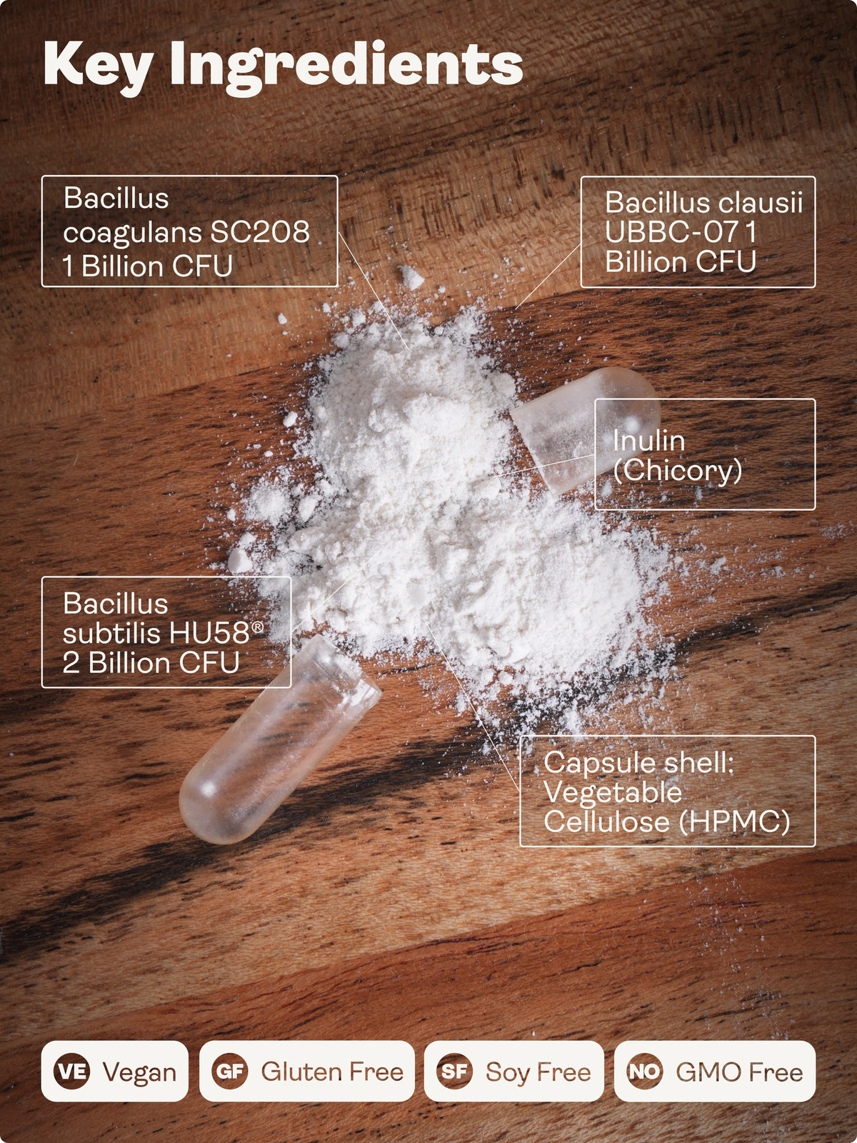 Spore Probiotic ingredients