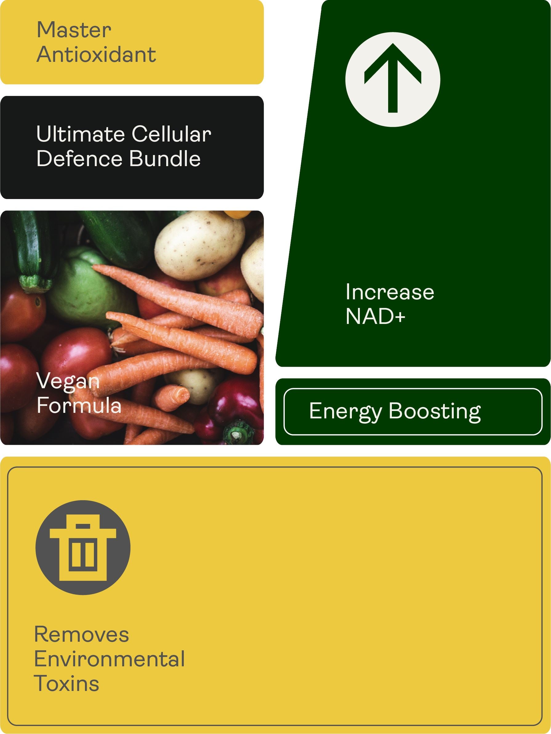Cellular Defense Android Cellular Defence Bundle (NMN Capsules & Liposomal Glutathione ...