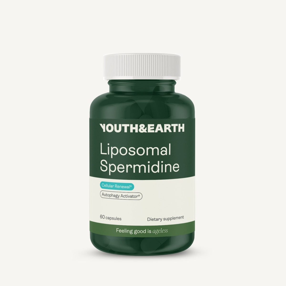 Liposomal Spermidine