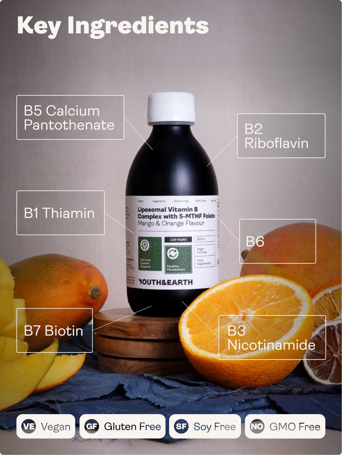 Liposomal Vitamin B Complex with 5-MTHF Folate – Mango &amp; Orange Flavour 250ml Youth &amp; Earth 