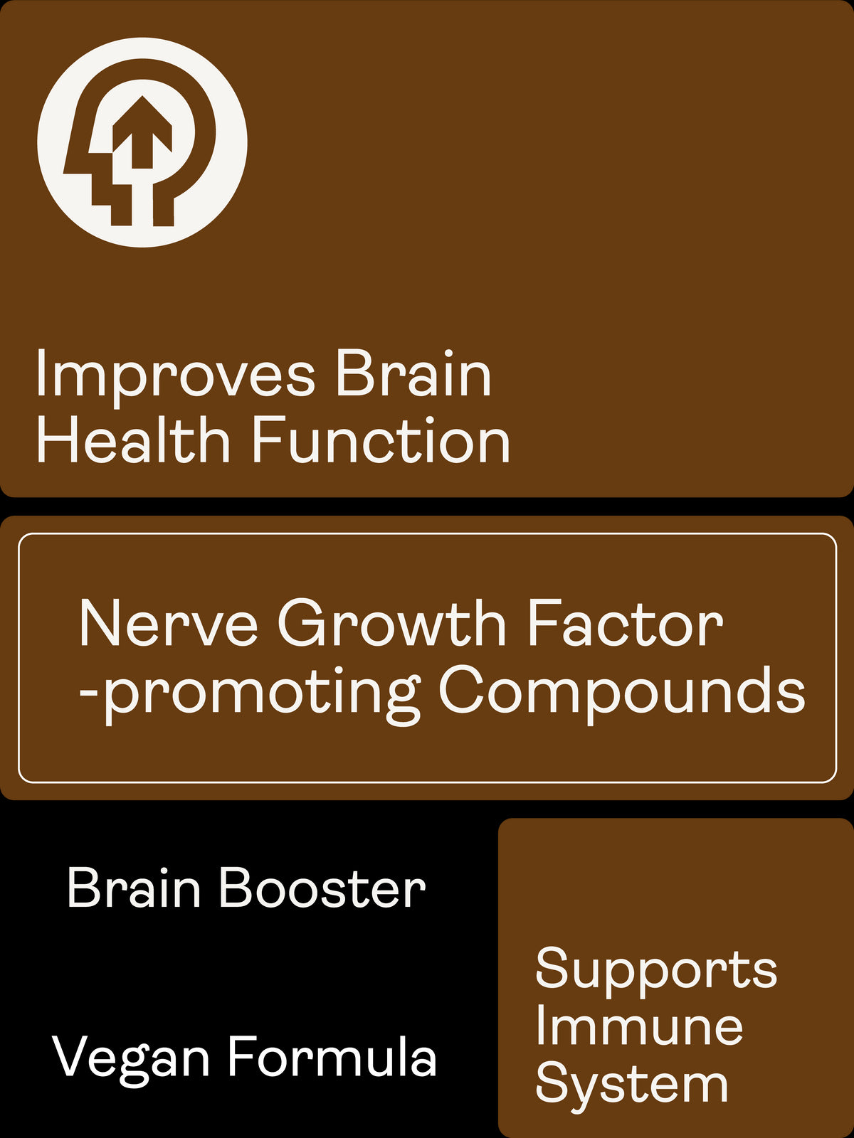 Nerve Growth Factor (Full Spectrum Lion&#39;s Mane Mushroom, Rhodiola, Ginseng, Bioperine) – 500mg x 60 Capsules Lions Mane, Rhodiola, Ginseng, Bioperine 