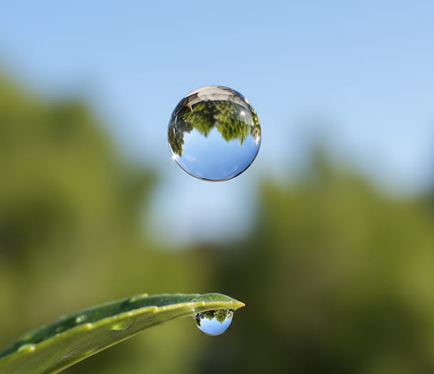 Water droplet on a leaf with a blurred natural background