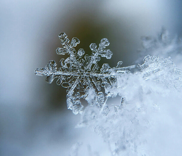 Close-up of a snowflake on a snowy background