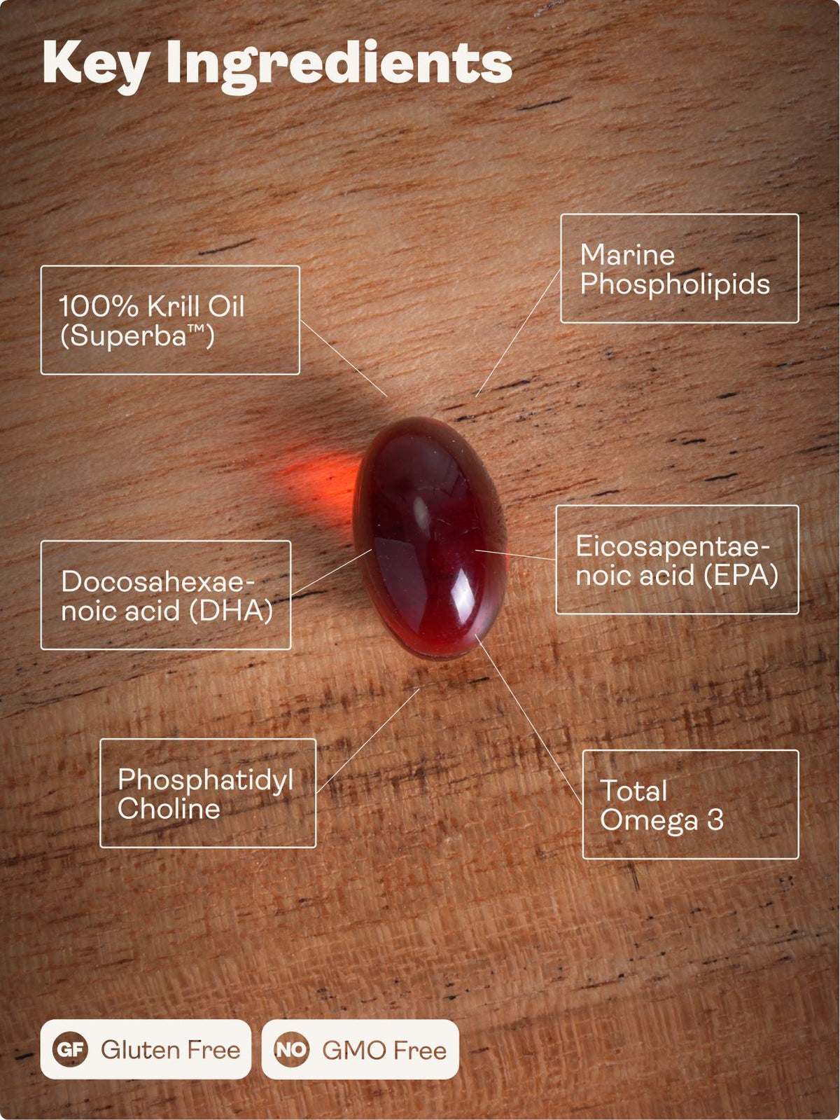 Superba ™ Krill Oil – 500mg x 60 Softgels Brain Health Youth &amp; Earth 