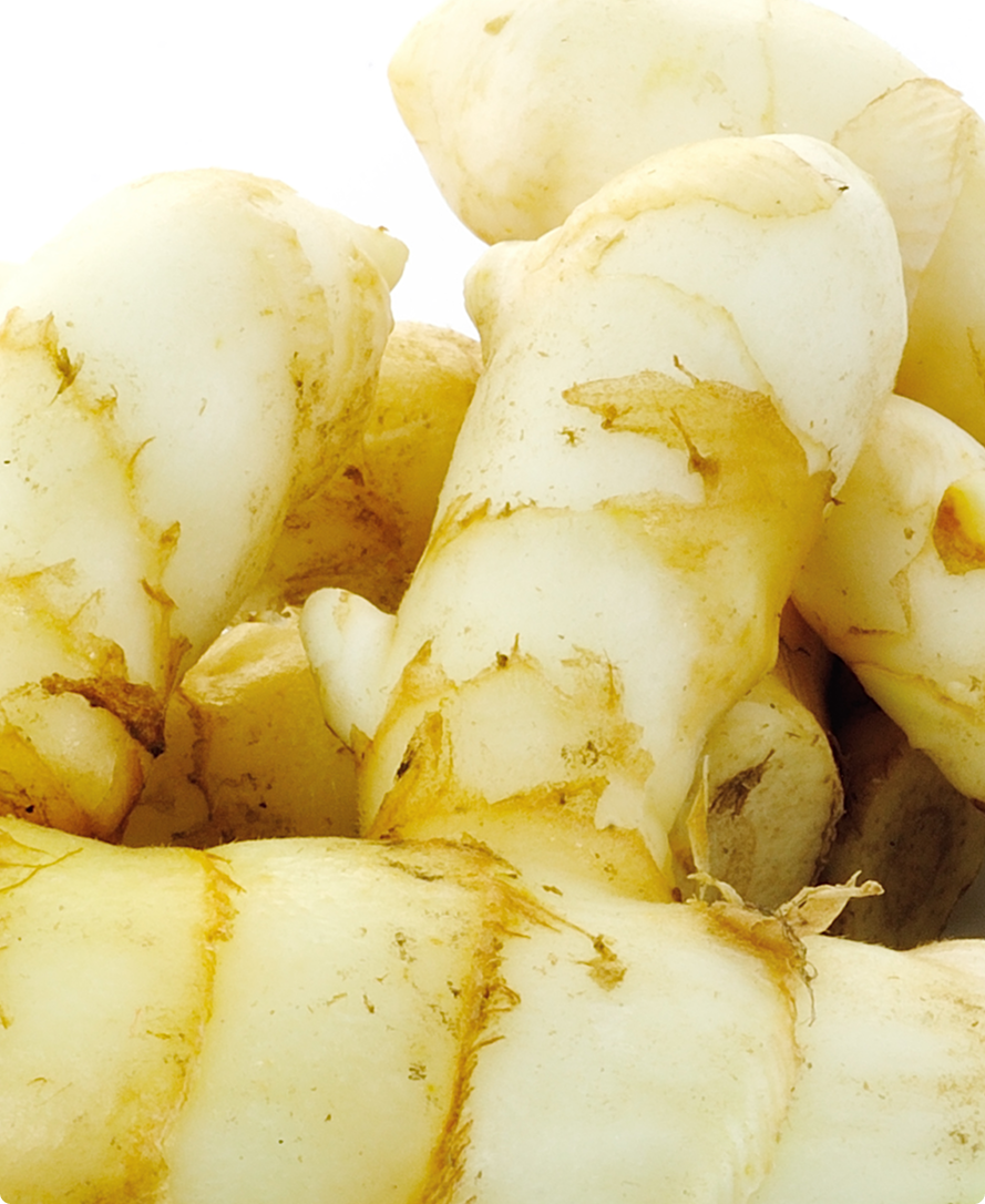 Product Ingredient Image